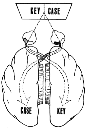 Lenses of Perception by Doug Marman