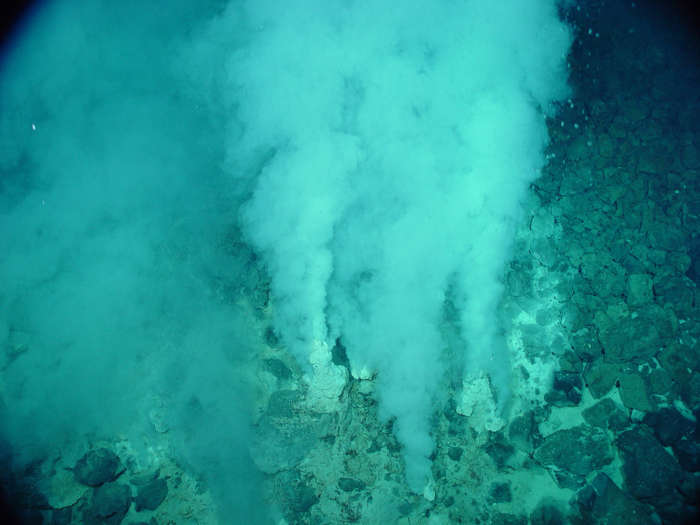 Cells that spawned all of life on our planet appear to have lived in hydrothermal vents. Image courtesy of NOAA.